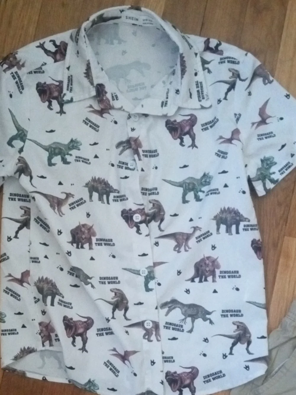 boys 7 khaki cargo shorts and dinosaur print short sleeve